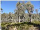 Lot 1 and Lot 2 Alma Tier Road, Interlaken TAS 7030