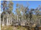 Lot 1 and Lot 2 Alma Tier Road, Interlaken TAS 7030