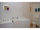 1 Lincoln Street, Sandy Bay TAS 7005