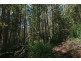 194 Devlyns Road, Birchs Bay TAS 7162