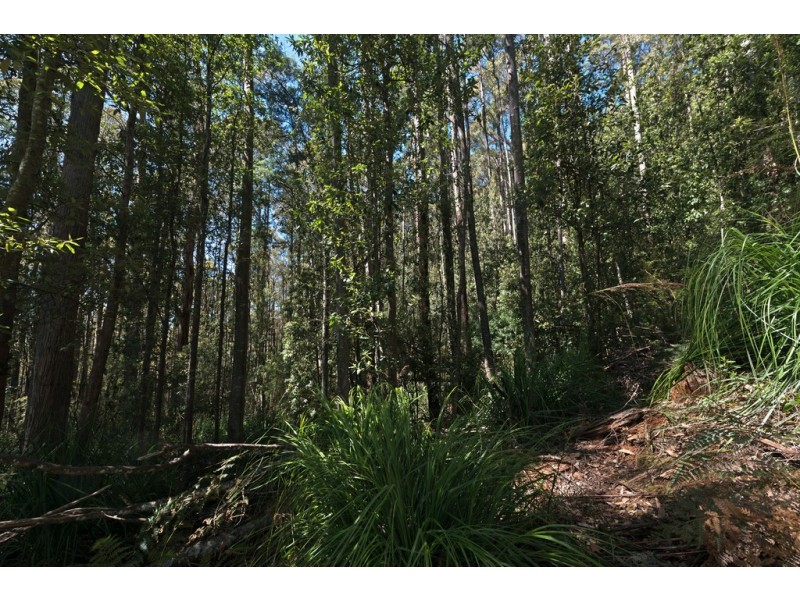 194 Devlyns Road, Birchs Bay TAS 7162