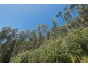 194 Devlyns Road, Birchs Bay TAS 7162