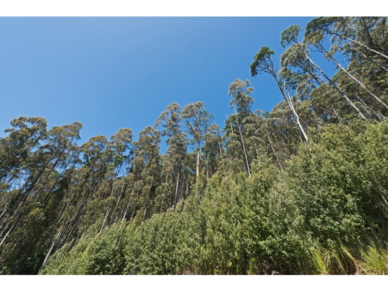 194 Devlyns Road, Birchs Bay TAS 7162