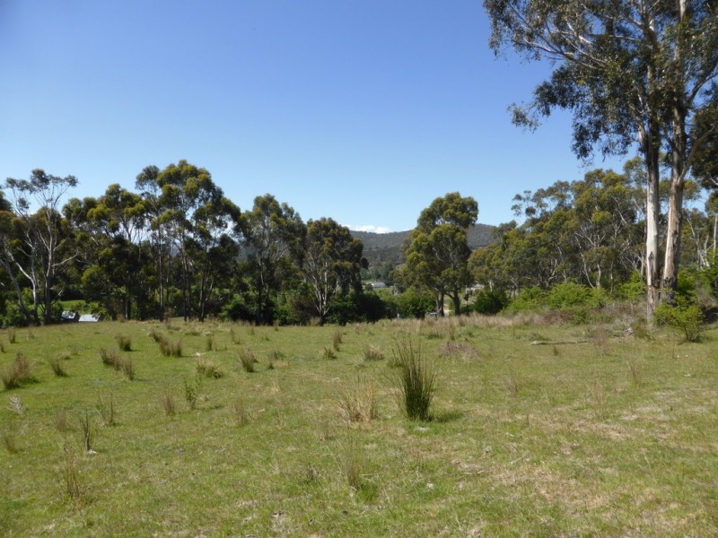 Lot 1 The Avenue, Ellendale TAS 7140
