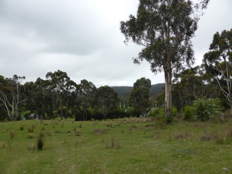 Lot 1 The Avenue, Ellendale TAS 7140