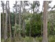 Lot 1 The Avenue, Ellendale TAS 7140