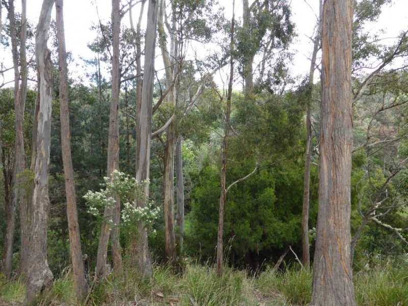 Lot 1 The Avenue, Ellendale TAS 7140
