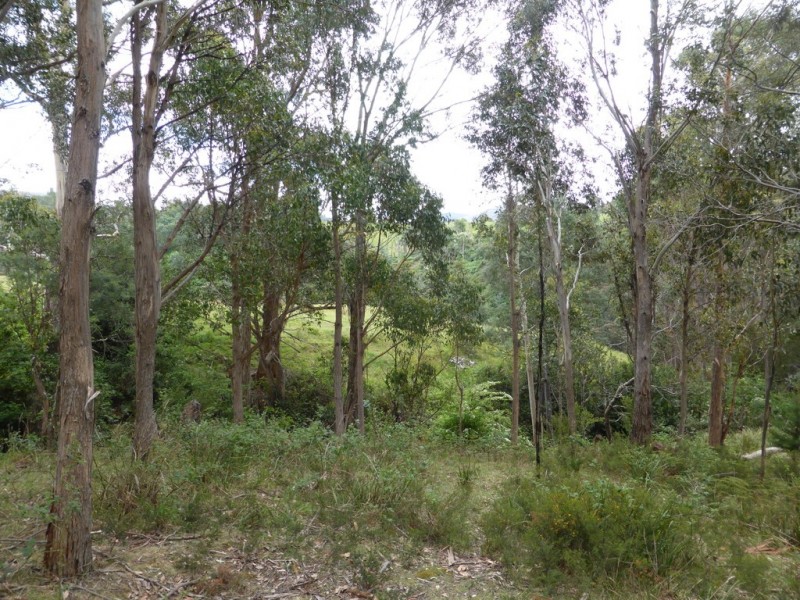 Lot 1 The Avenue, Ellendale TAS 7140