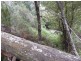 Lot 1 The Avenue, Ellendale TAS 7140