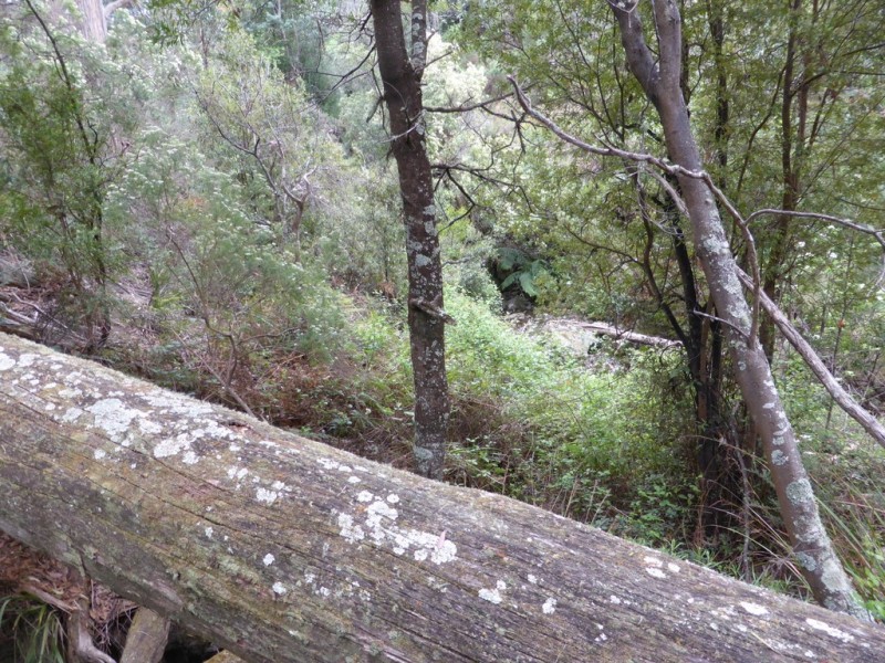 Lot 1 The Avenue, Ellendale TAS 7140