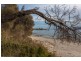 110 Spitfarm Road, Opossum Bay TAS 7023