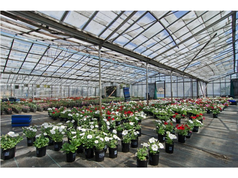 305 Lyell Highway, Granton TAS 7030