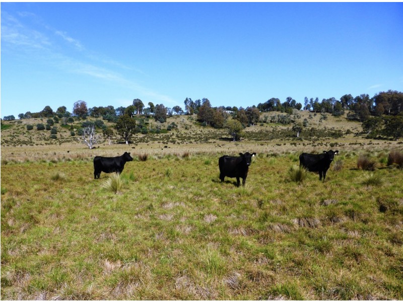 Lot 12 Marlborough Road, Bronte Park TAS 7140