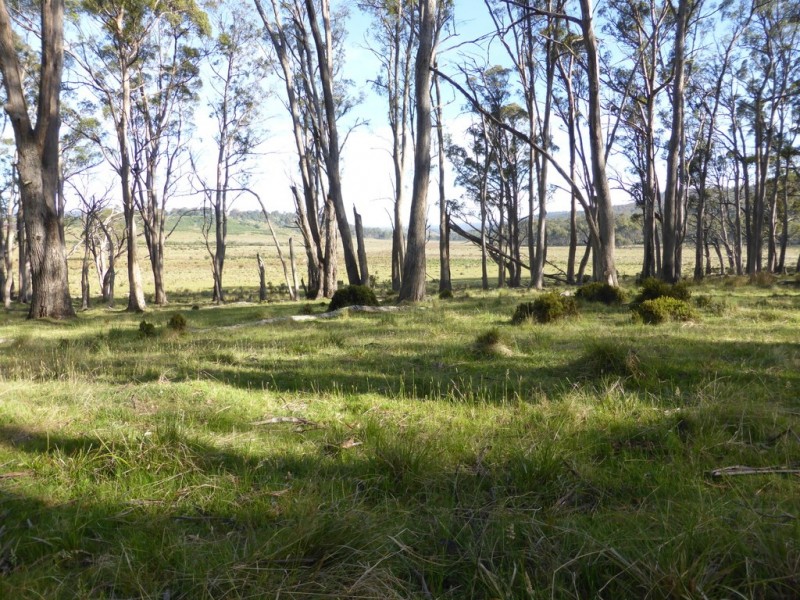 Lot 12 Marlborough Road, Bronte Park TAS 7140