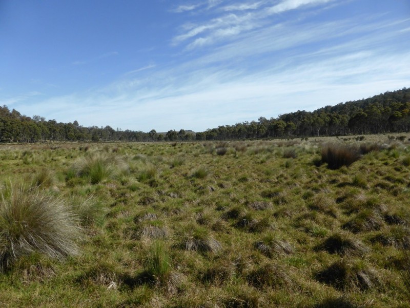 Lot 12 Marlborough Road, Bronte Park TAS 7140