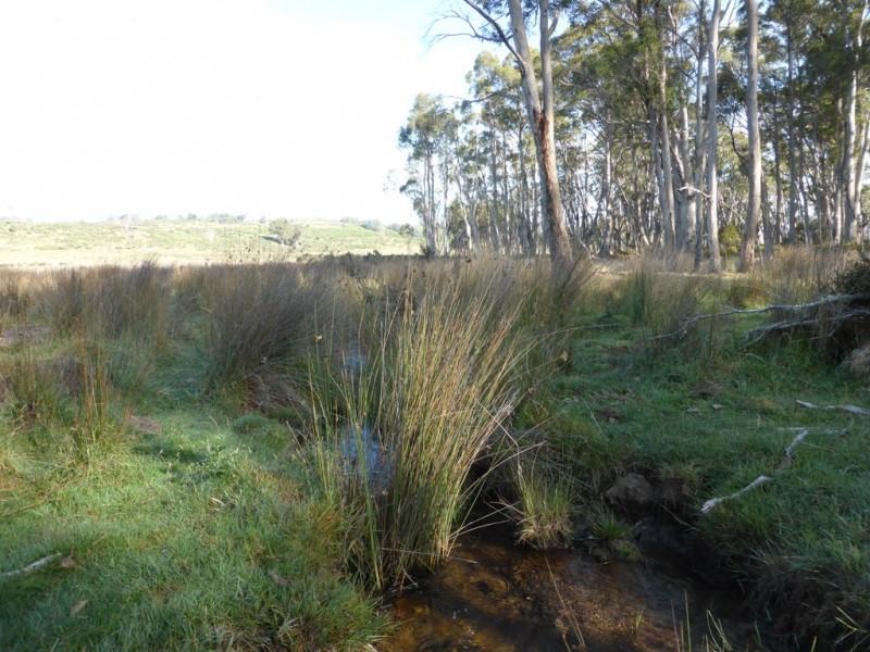 Lot 12 Marlborough Road, Bronte Park TAS 7140