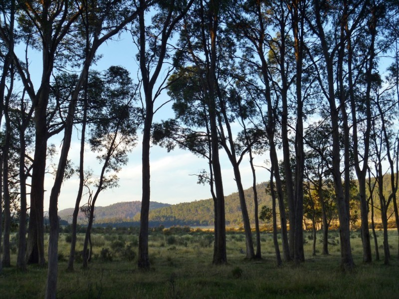 Lot 12 Marlborough Road, Bronte Park TAS 7140