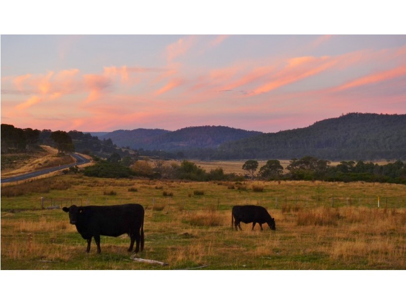 Lot 12 Marlborough Road, Bronte Park TAS 7140