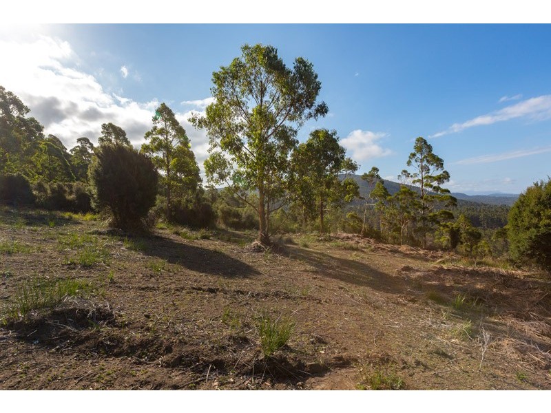 Lot 1 Gumpits Road, Birchs Bay TAS 7162
