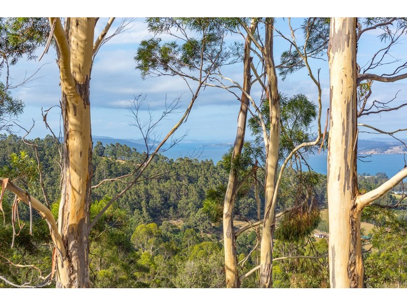 Lot 1 Gumpits Road, Birchs Bay TAS 7162