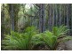 Lot 1 Gumpits Road, Birchs Bay TAS 7162