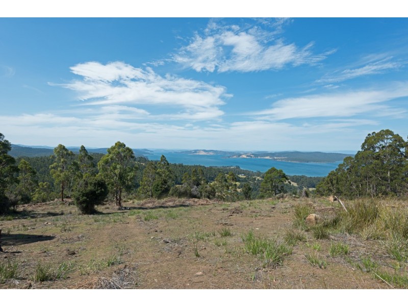 Lot 1 Gumpits Road, Birchs Bay TAS 7162