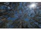Lot 1 Gumpits Road, Birchs Bay TAS 7162