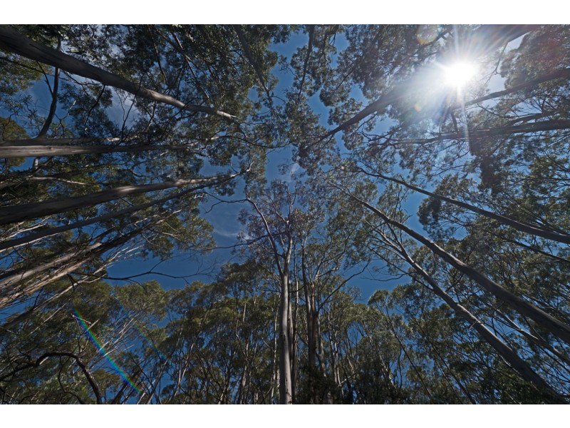 Lot 1 Gumpits Road, Birchs Bay TAS 7162