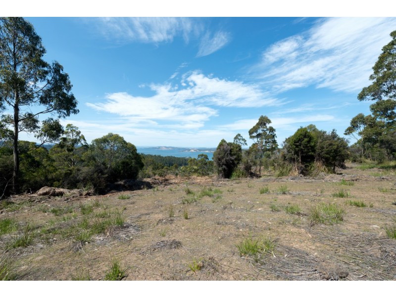 Lot 1 Gumpits Road, Birchs Bay TAS 7162