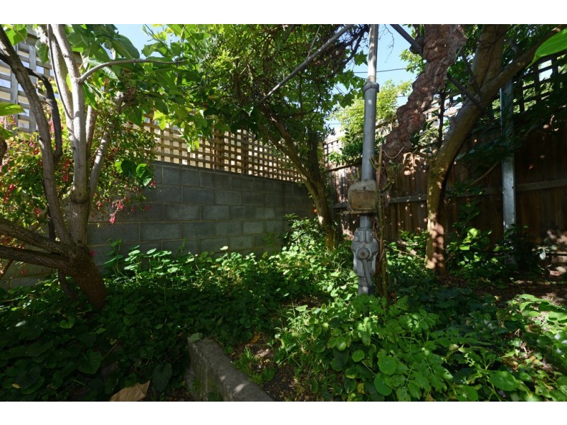 6 Flinders Lane, Sandy Bay TAS 7005