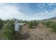 47 Glenhope Road, Granton TAS 7030