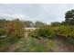 409 Abels Bay Road, Abels Bay TAS 7112
