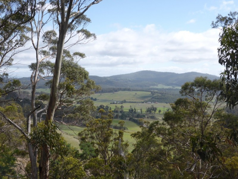 301 Woodsdale Back Road, Woodsdale TAS 7120