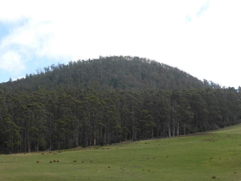 301 Woodsdale Back Road, Woodsdale TAS 7120