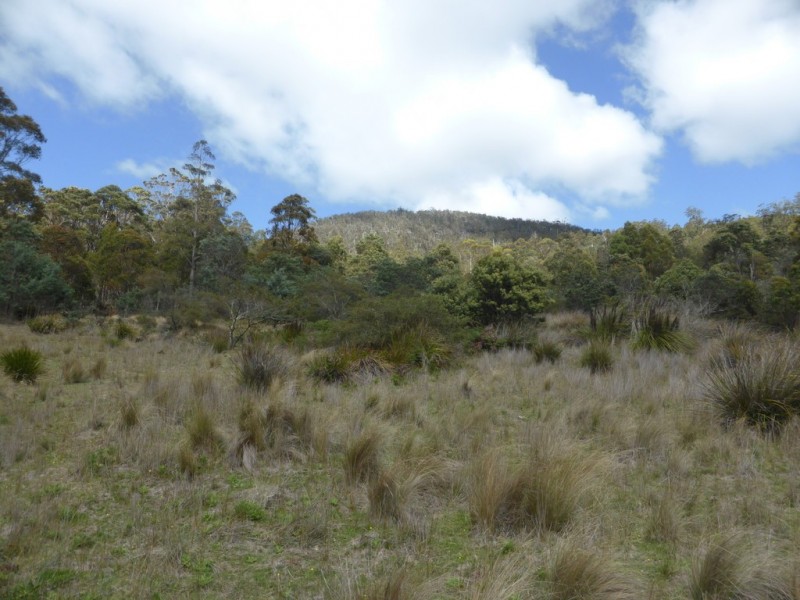 301 Woodsdale Back Road, Woodsdale TAS 7120