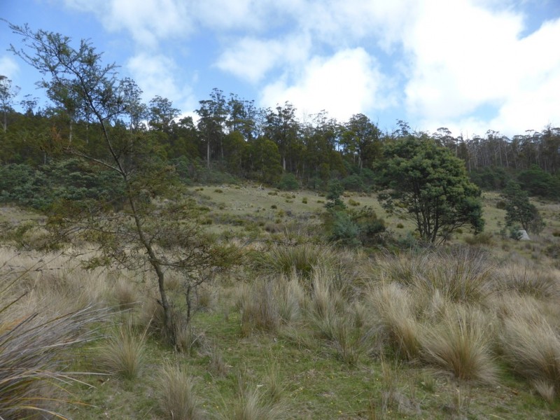 301 Woodsdale Back Road, Woodsdale TAS 7120