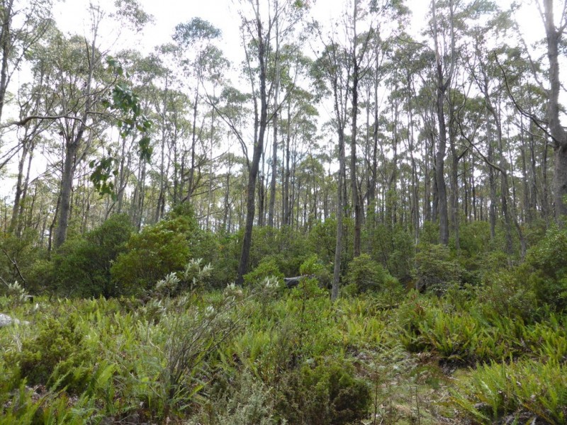 301 Woodsdale Back Road, Woodsdale TAS 7120