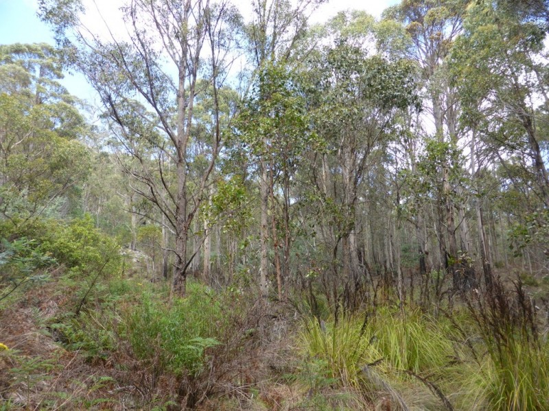 301 Woodsdale Back Road, Woodsdale TAS 7120