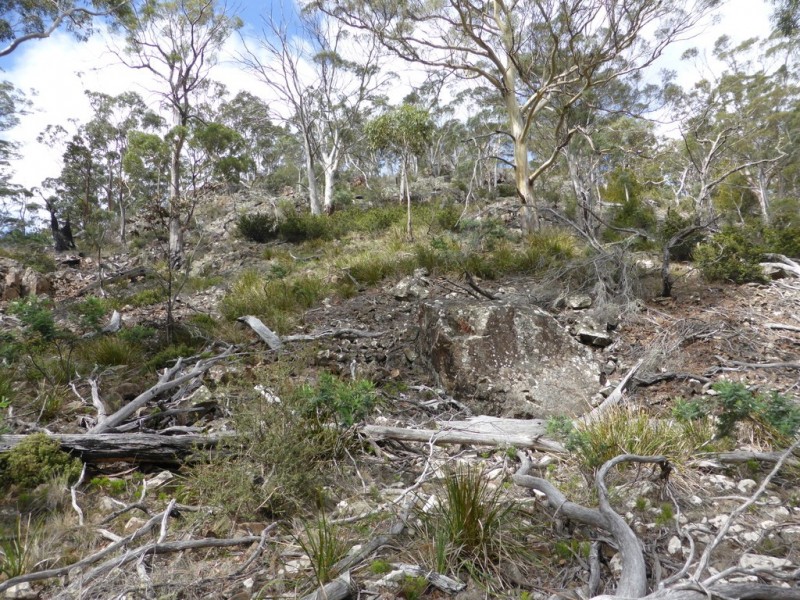 301 Woodsdale Back Road, Woodsdale TAS 7120