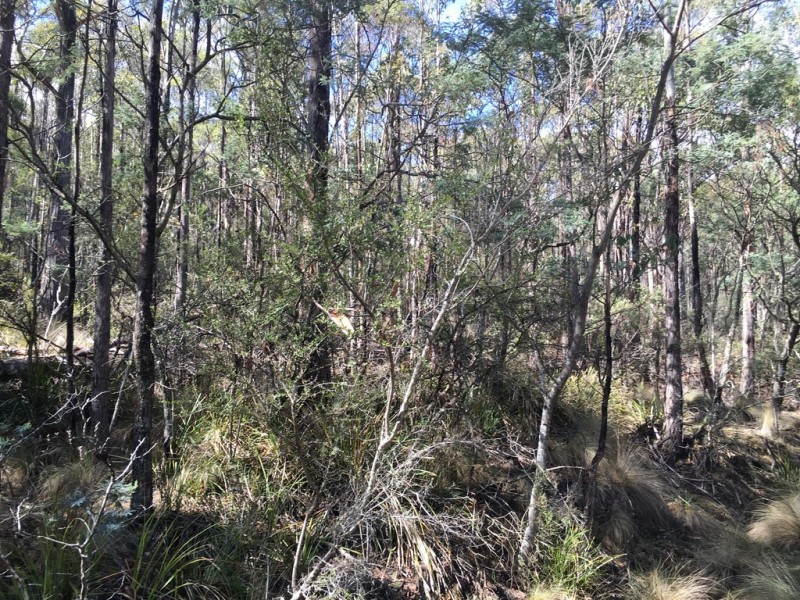 301 Woodsdale Back Road, Woodsdale TAS 7120