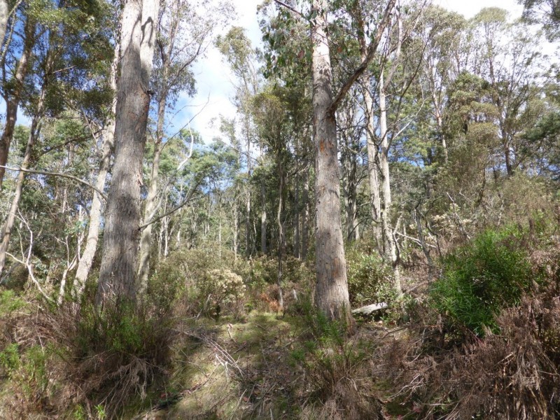 301 Woodsdale Back Road, Woodsdale TAS 7120