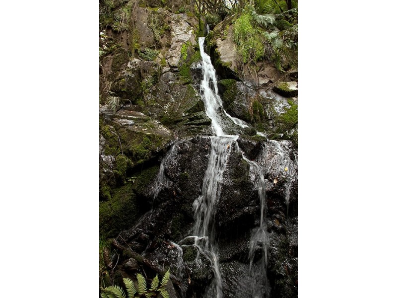 110 Halls Track Road, Sandfly TAS 7150