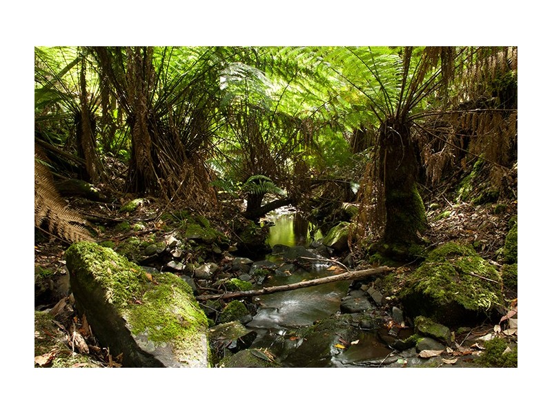 110 Halls Track Road, Sandfly TAS 7150