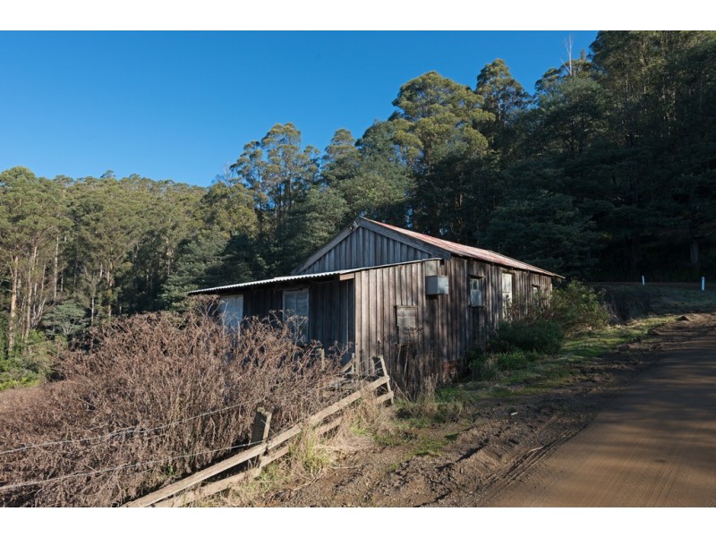 110 Halls Track Road, Sandfly TAS 7150
