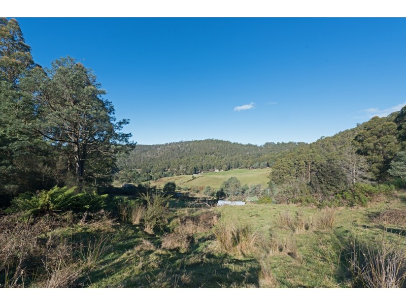 110 Halls Track Road, Sandfly TAS 7150