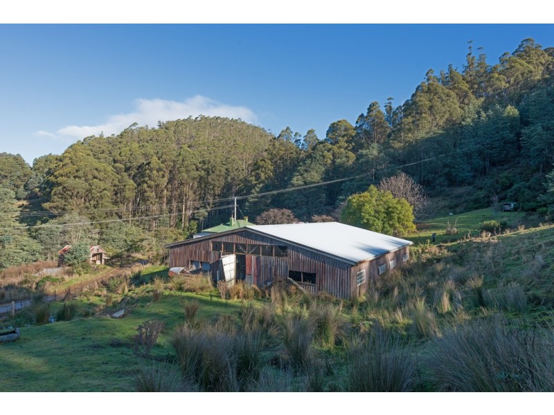 110 Halls Track Road, Sandfly TAS 7150