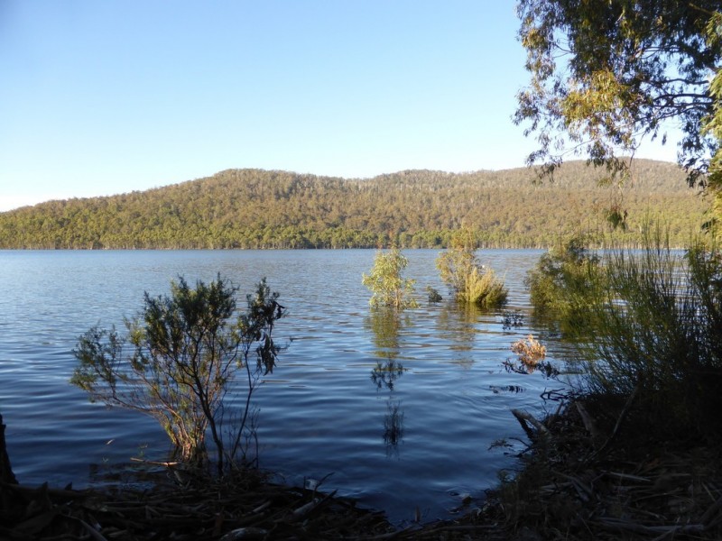 213 Bradys Lake Road, Bradys Lake TAS 7140