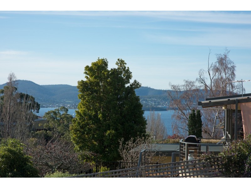 41 Maning Avenue, Sandy Bay TAS 7005