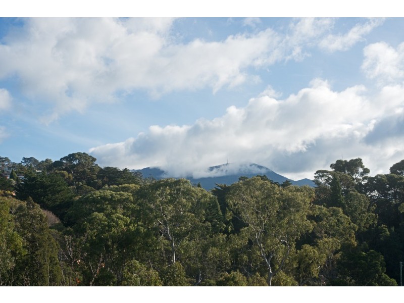 41 Maning Avenue, Sandy Bay TAS 7005
