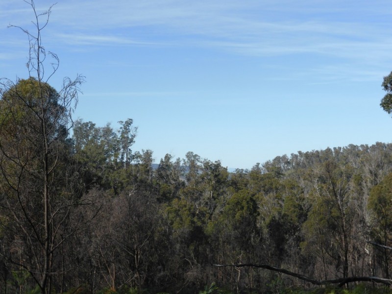 Lot 2 Pearces Road, Strickland TAS 7140